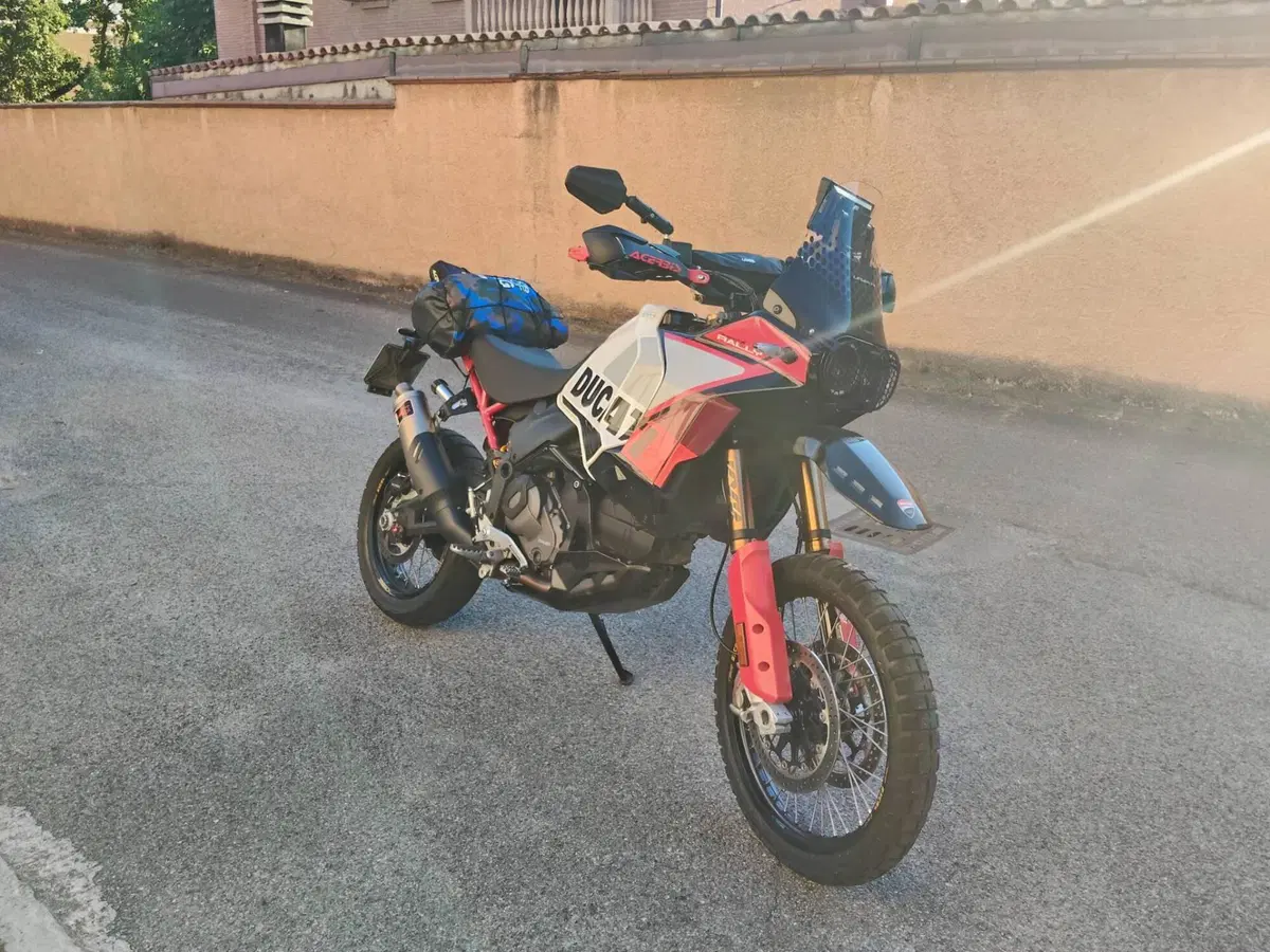 Ducati DesertX Rally (2024 - 25) (4)