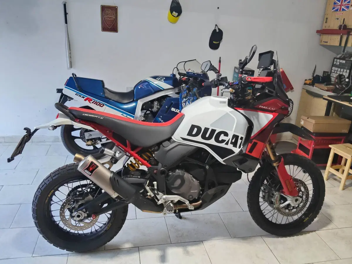Ducati DesertX Rally (2024 - 25) (5)