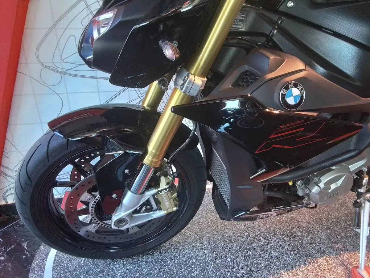 Bmw S 1000 R (2017 - 20) (7)