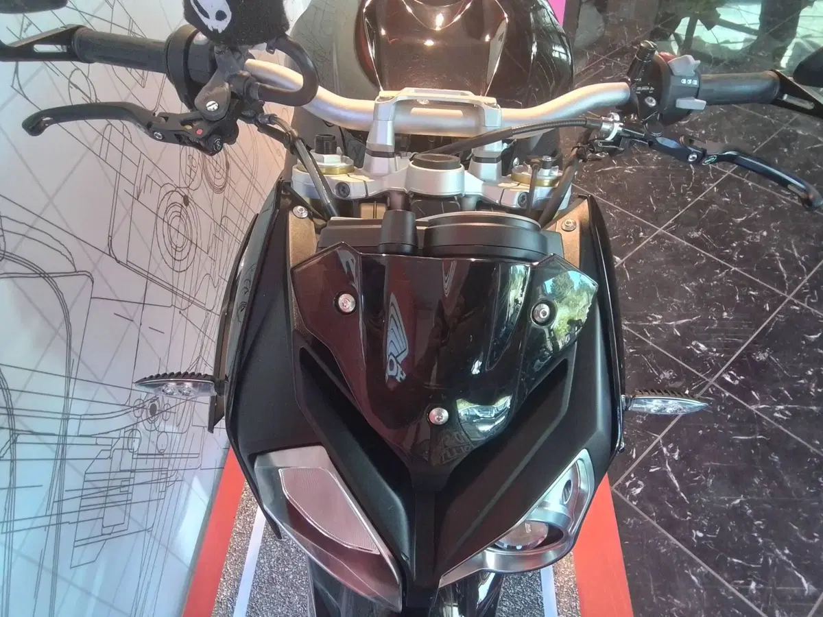 Bmw S 1000 R (2017 - 20) (10)