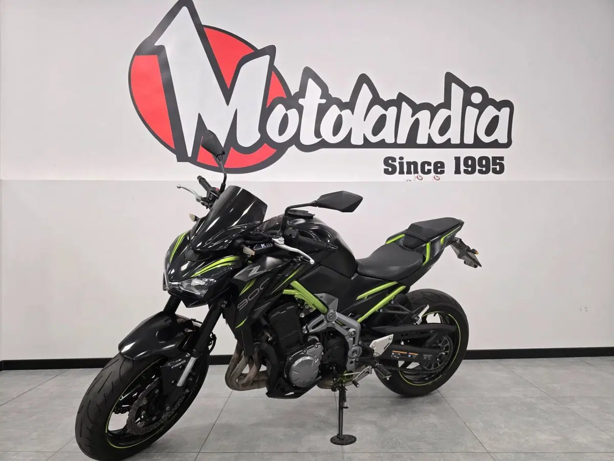 Kawasaki Z 900 (2019) (2)