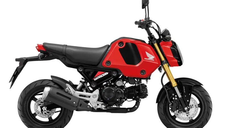 Un motore da 300 cc sull'Honda Grom? la guida passo-passo di Steady Garage