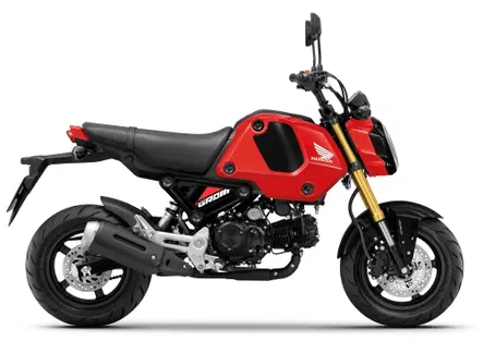 Un motore da 300 cc sull'Honda Grom? la guida passo-passo di Steady Garage