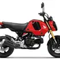 Un motore da 300 cc sull'Honda Grom? la guida passo-passo di Steady Garage