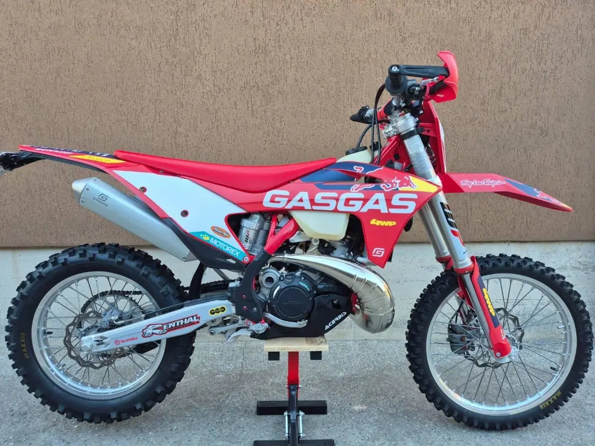 GASGAS EC 250 (2024)