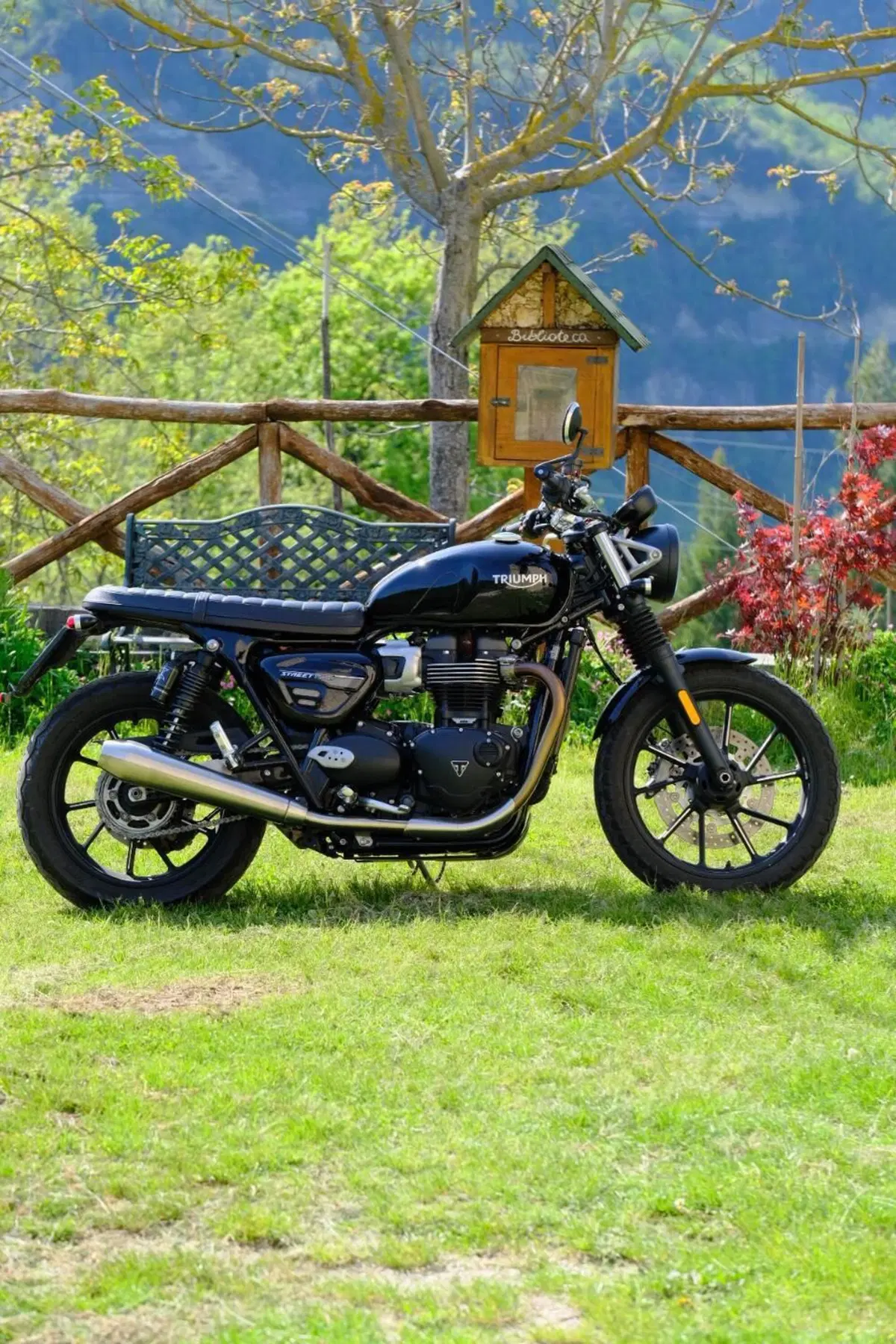 Triumph Street Twin 900 (2021 - 22) (2)