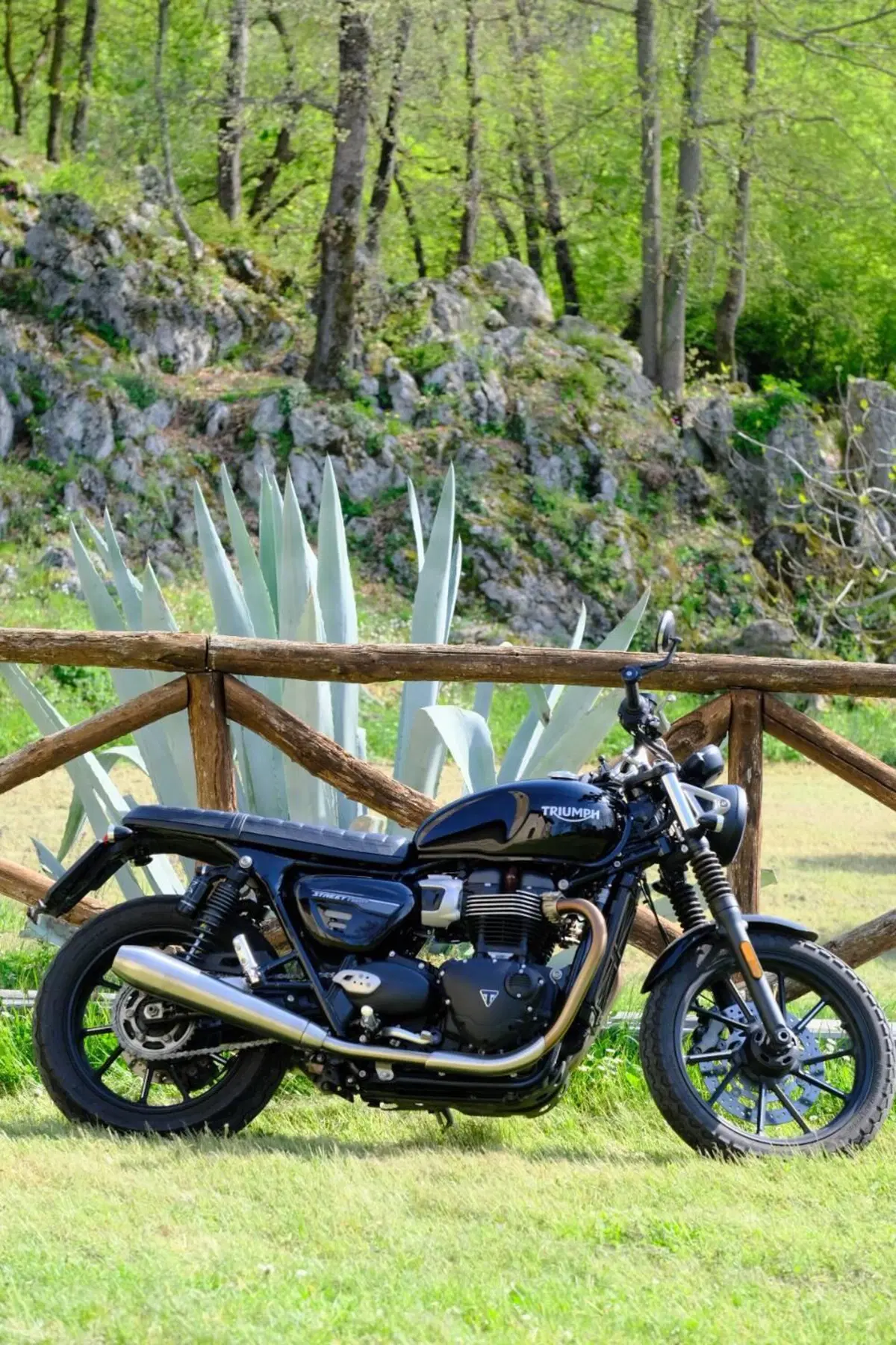 Triumph Street Twin 900 (2021 - 22) (3)