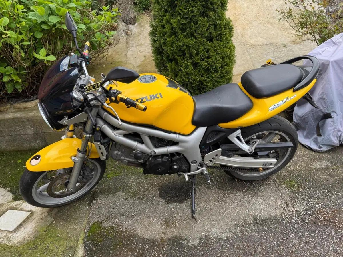 Suzuki SV 650 (1999 - 02)