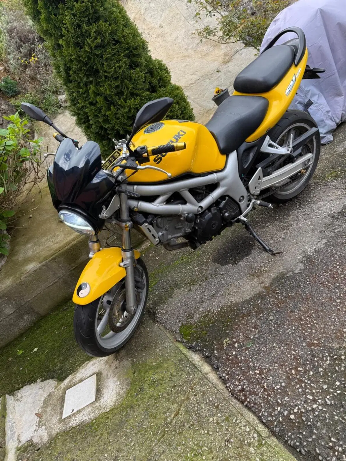 Suzuki SV 650 (1999 - 02) (2)