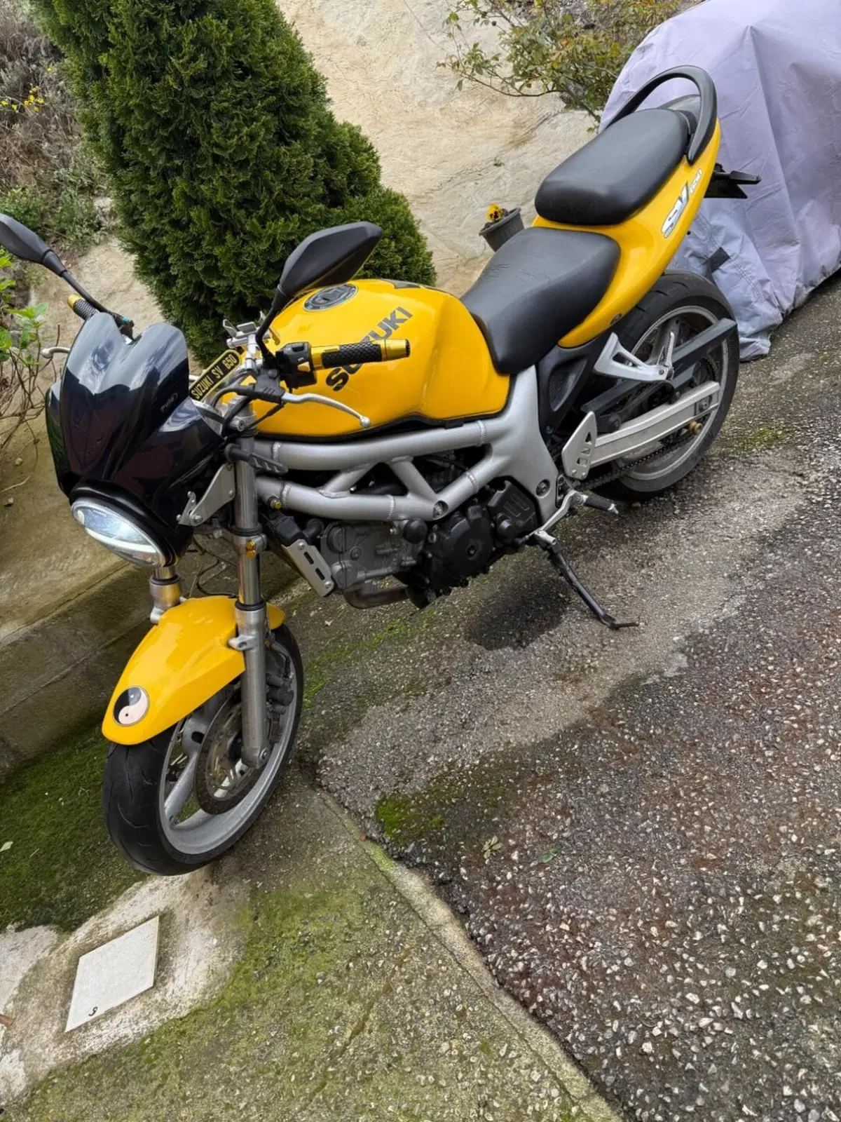 Suzuki SV 650 (1999 - 02) (4)