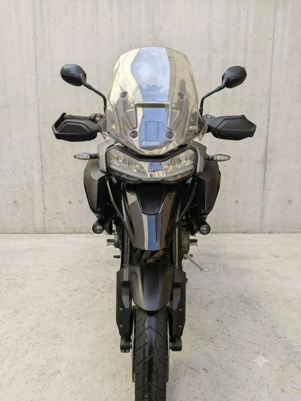 Triumph Tiger 1200 GT Pro (2024 - 26) (4)