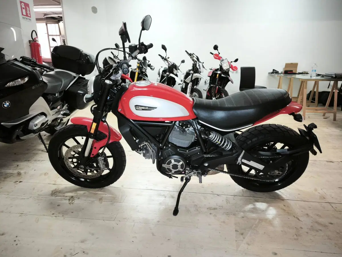 Ducati Scrambler 800 Icon (2017 - 20) (4)