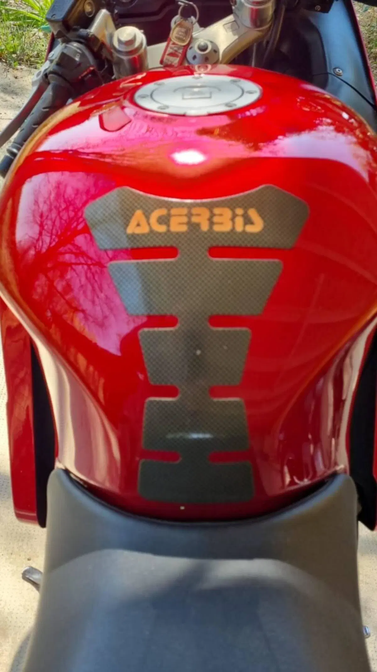 Honda cbr 1100 xx superblackbird (14)