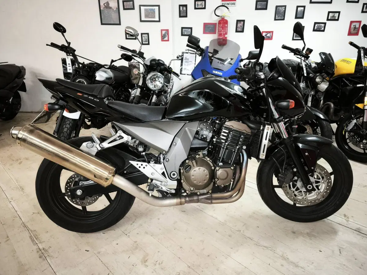 Kawasaki Z 750 (2003 - 06)