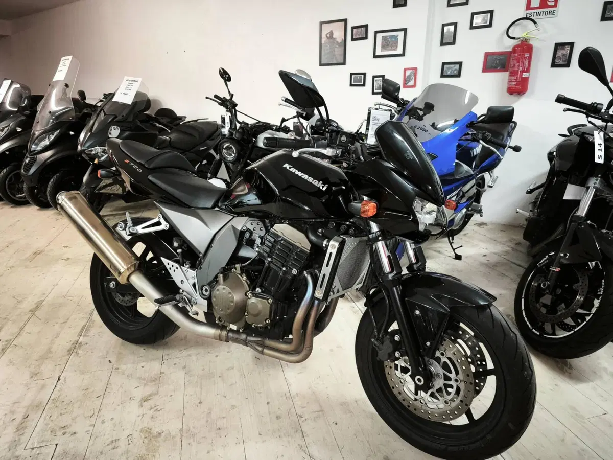 Kawasaki Z 750 (2003 - 06) (2)