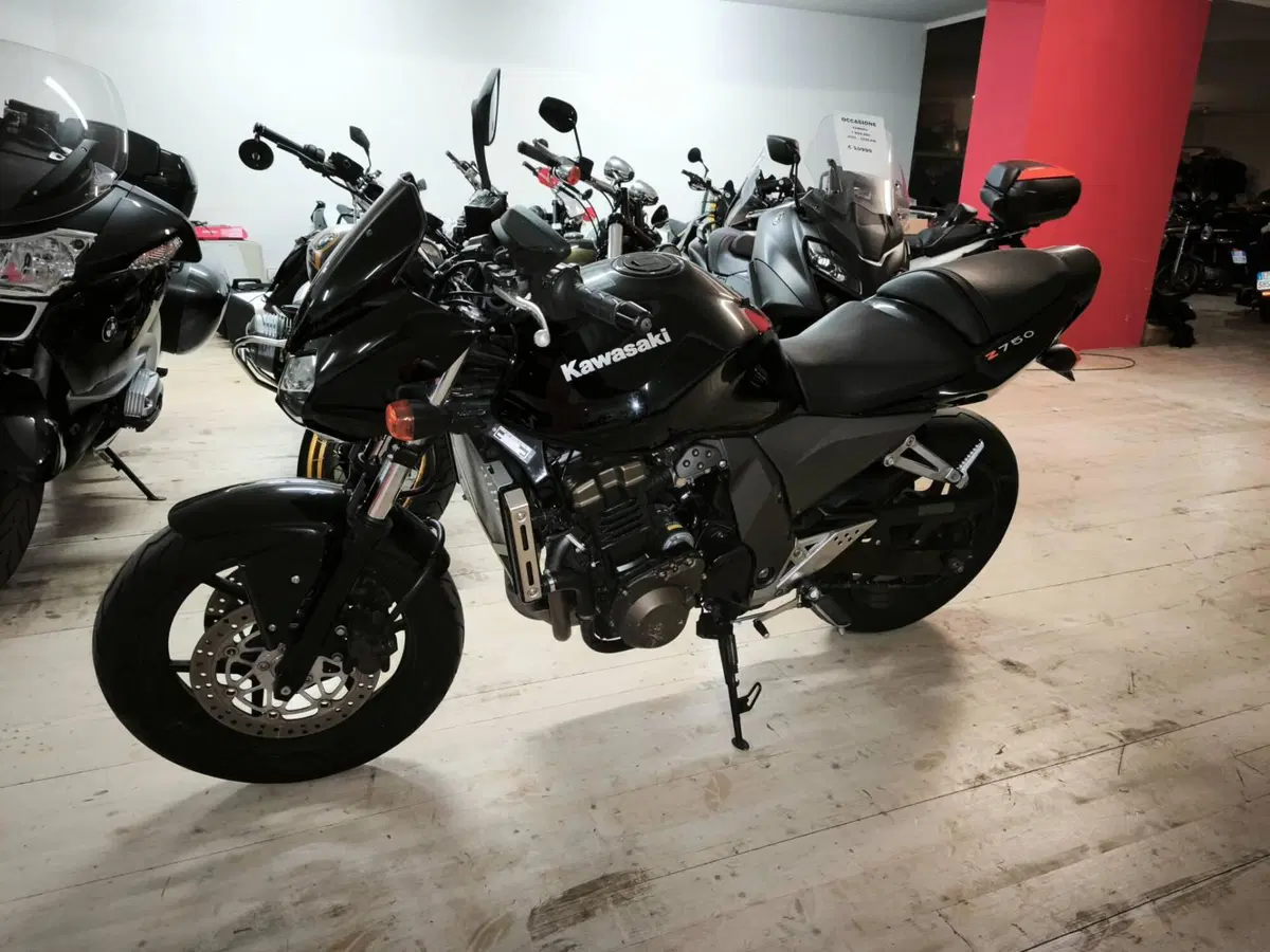 Kawasaki Z 750 (2003 - 06) (3)