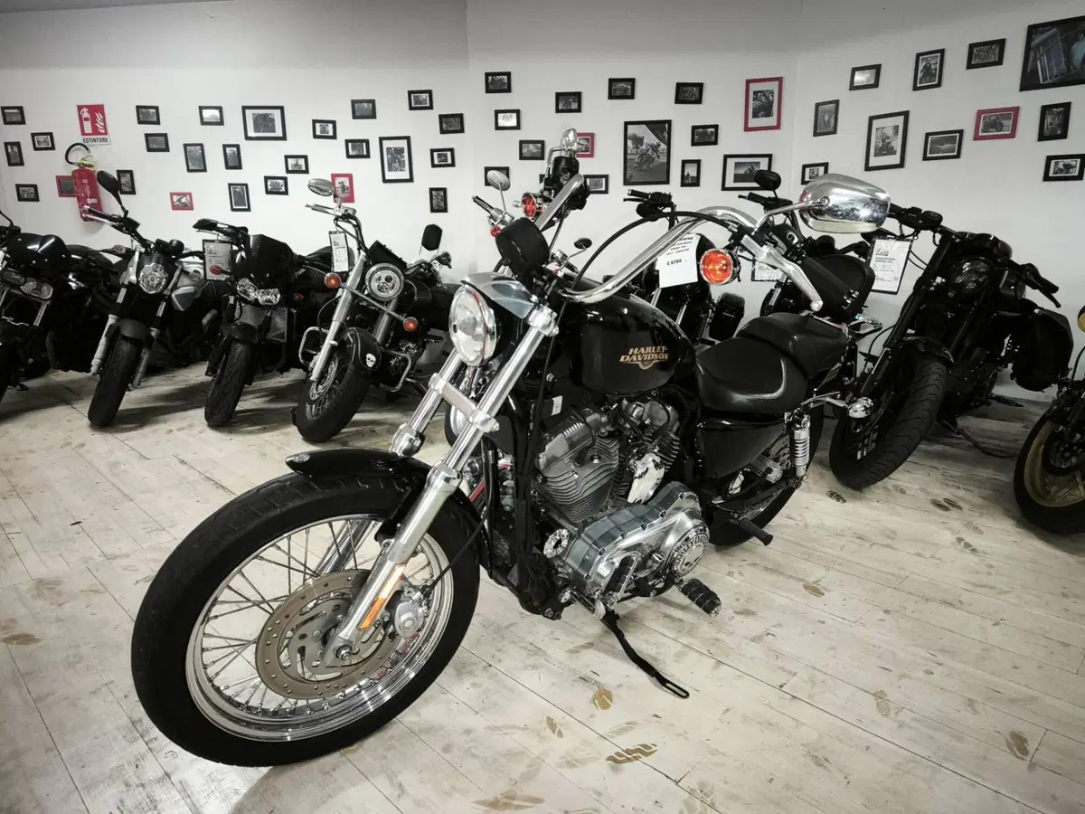 Harley-Davidson 883 Low (2008 - 12) - XL 883L (2)