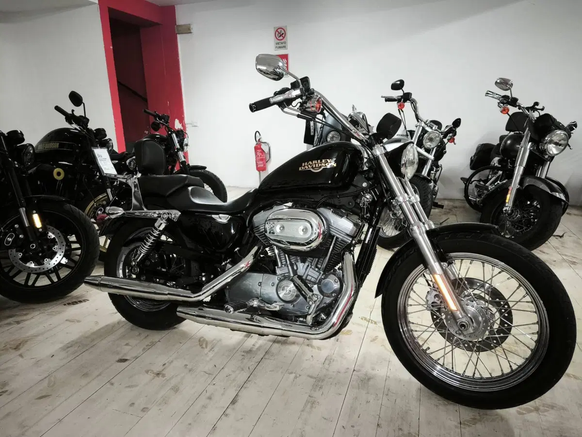 Harley-Davidson 883 Low (2008 - 12) - XL 883L (3)