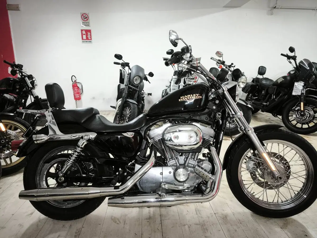 Harley-Davidson 883 Low (2008 - 12) - XL 883L (4)