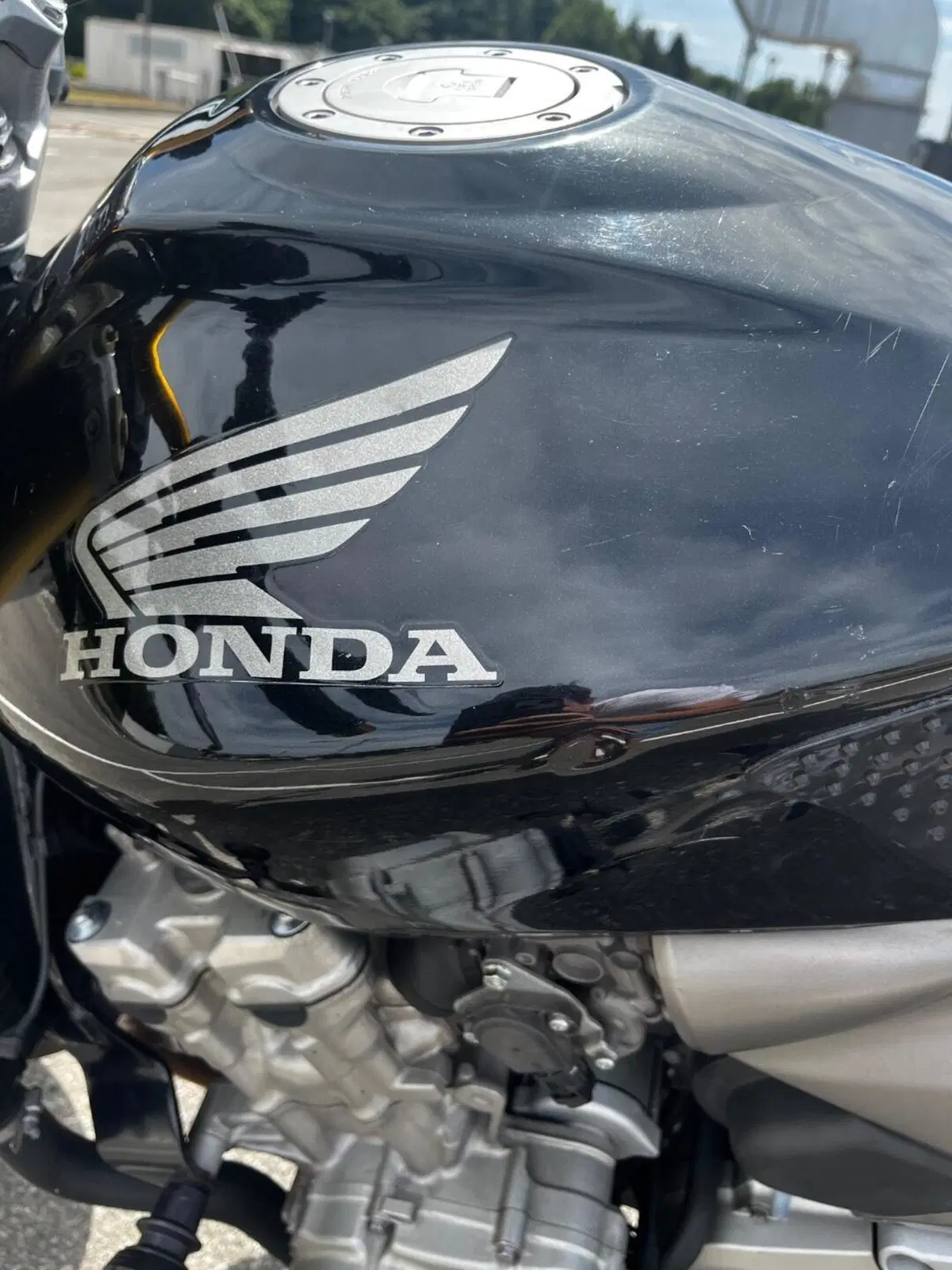 Honda Hornet 600 (2005 - 06) (8)