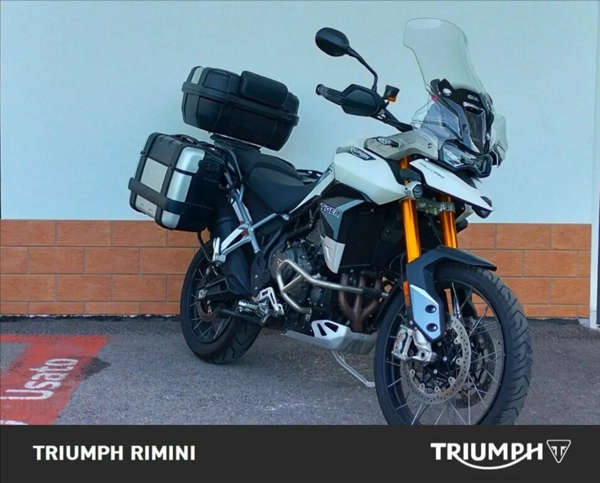 Triumph Tiger 900 Rally Pro (2020 - 23) (3)