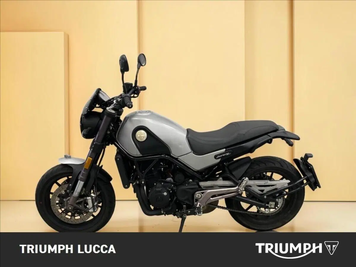 Benelli Leoncino 500 ABS (2017 - 20) (7)