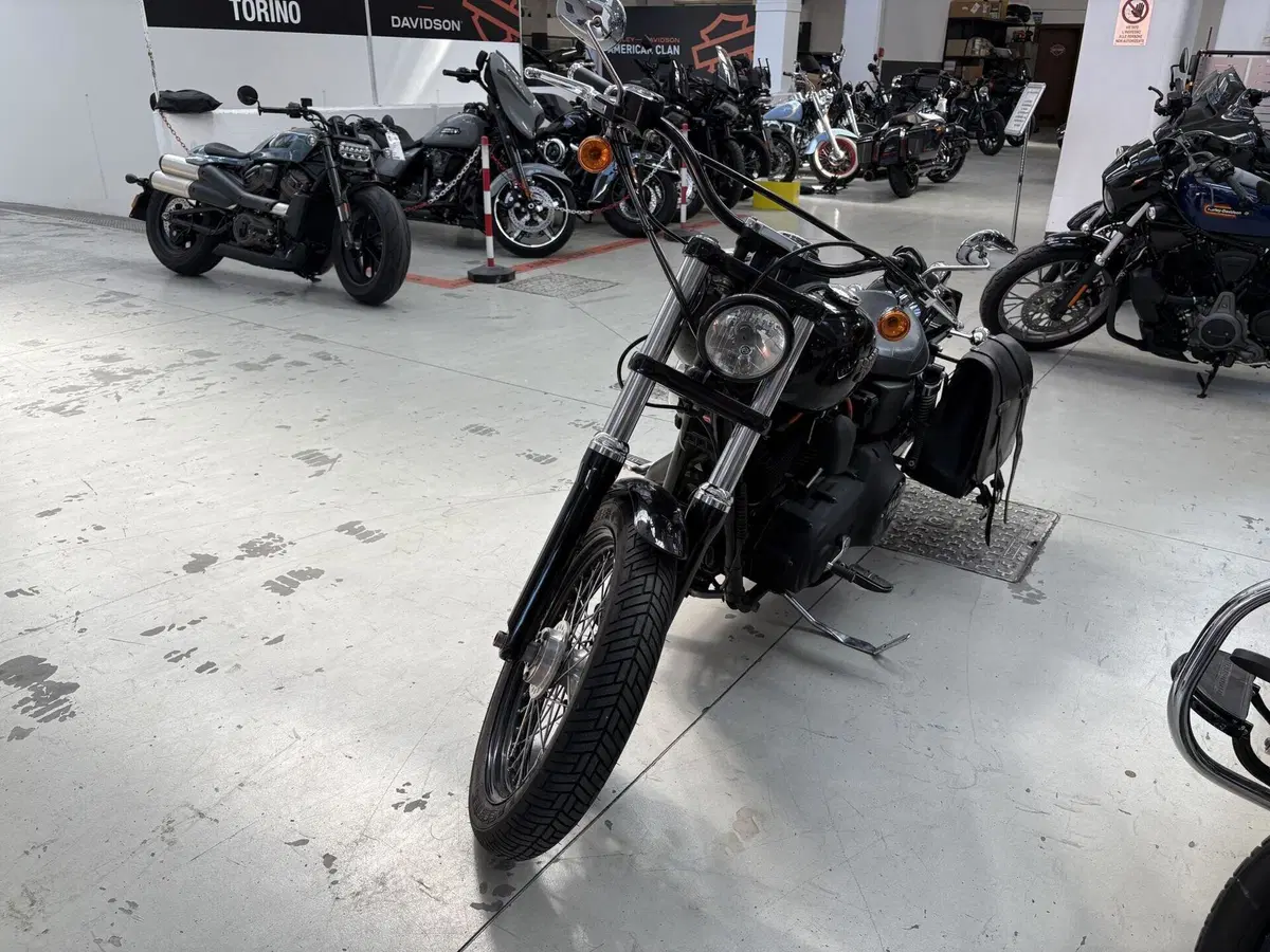 Harley-Davidson 1584 Street Bob (2008 - 15) - FXDB (5)
