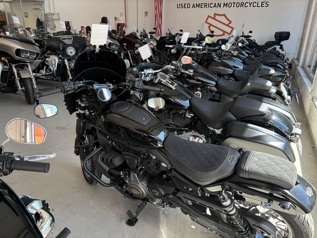Harley-Davidson Nightster Special (2023 - 26)