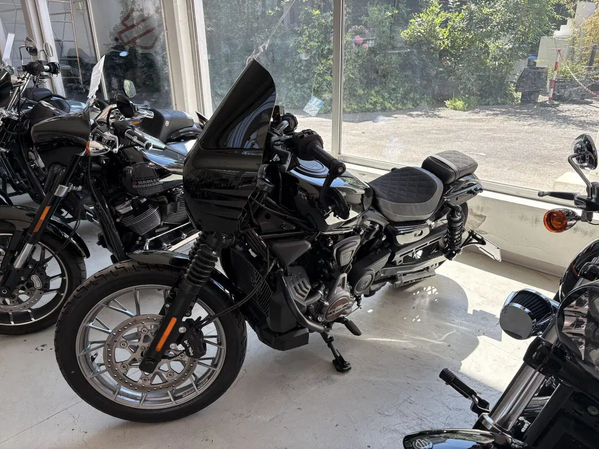 Harley-Davidson Nightster Special (2023 - 26) (2)
