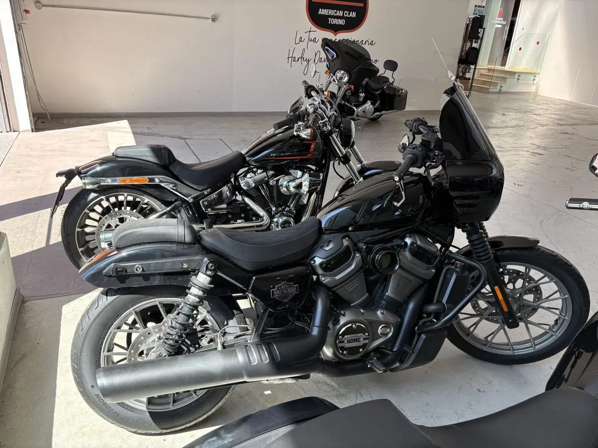 Harley-Davidson Nightster Special (2023 - 26) (5)