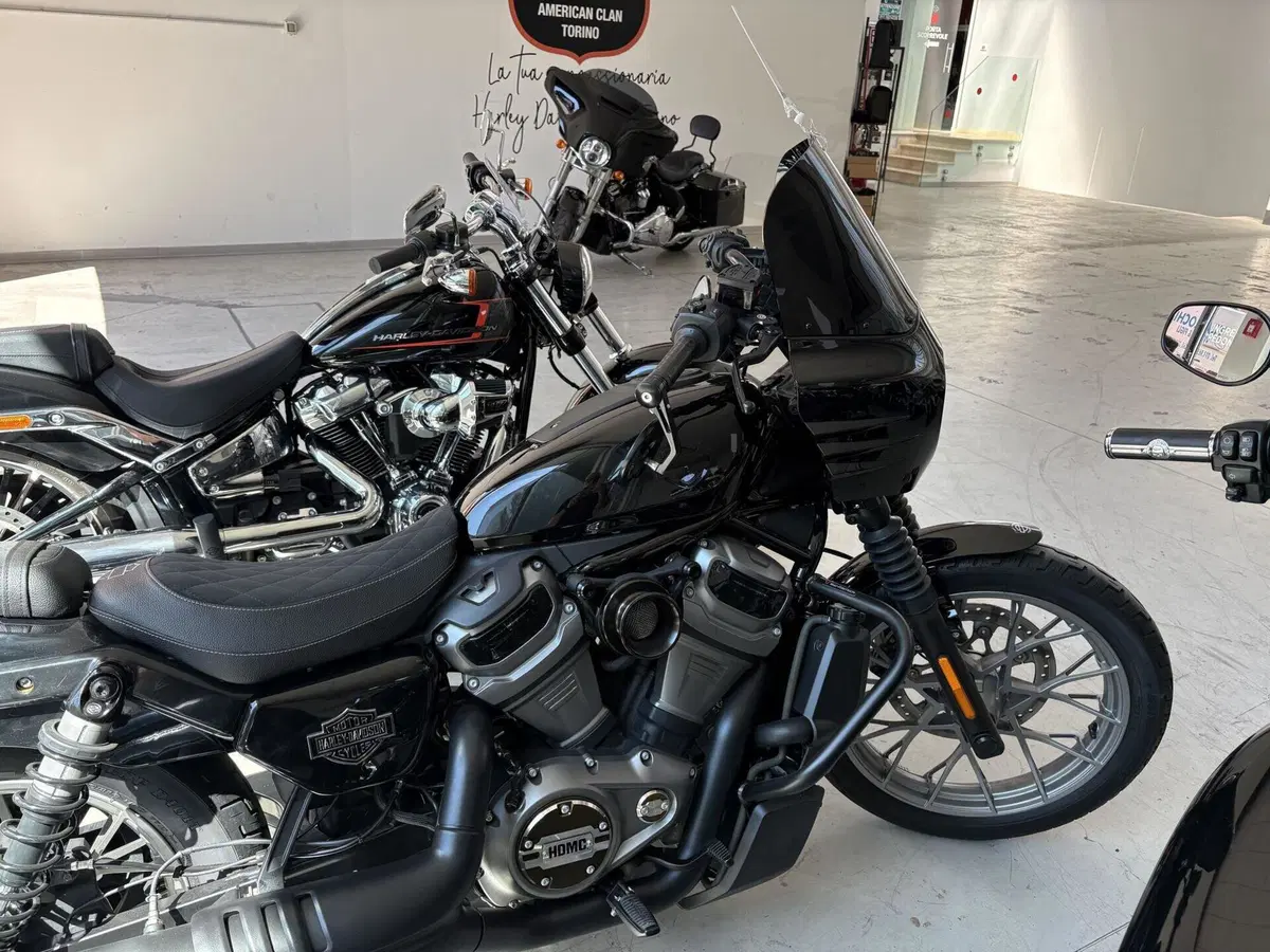 Harley-Davidson Nightster Special (2023 - 26) (6)