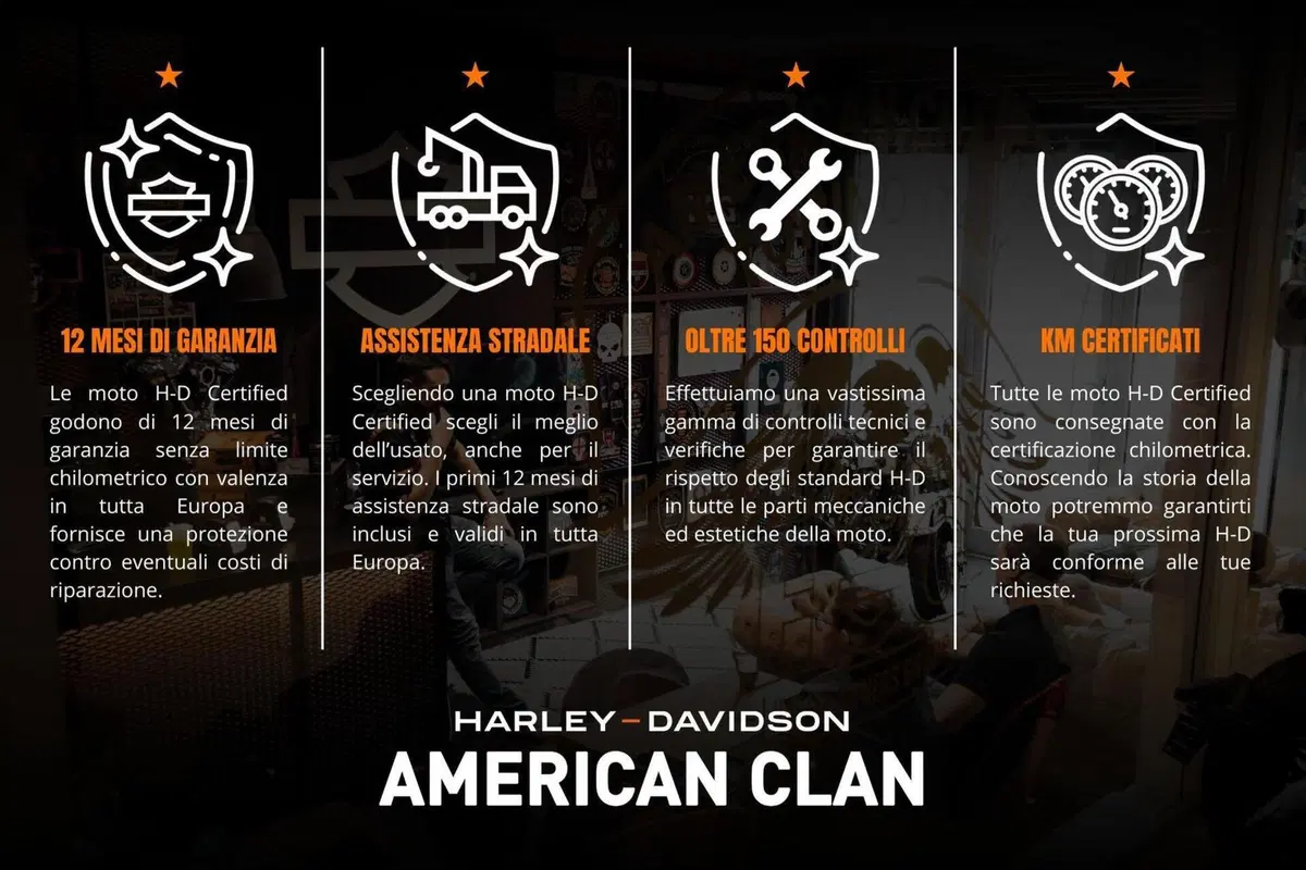 Harley-Davidson 1690 Deluxe ABS (2011 - 16) - FLSTN (3)