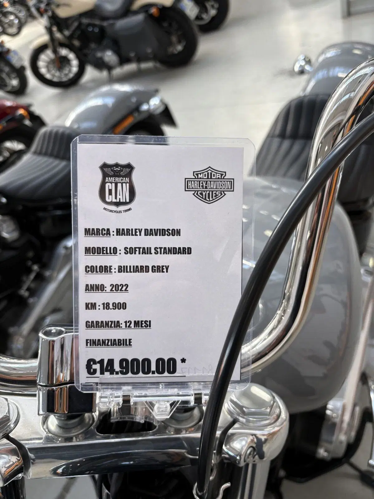 Harley-Davidson Softail Standard (2020) - FXST (2)