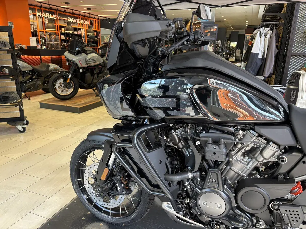 Harley-Davidson Pan America 1250 (2020 - 25) (3)
