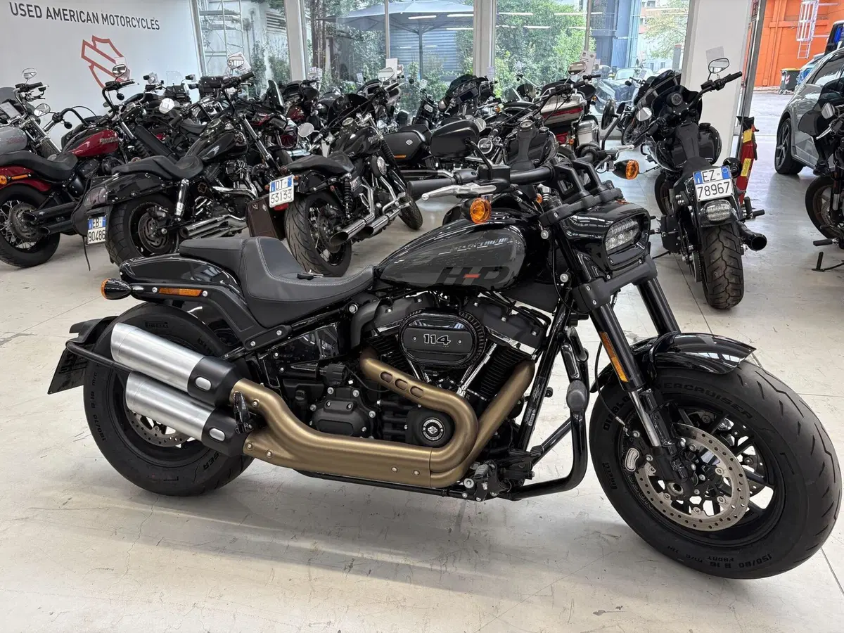 Harley-Davidson 114 Fat Bob (2018 - 20) - FXFBS (4)