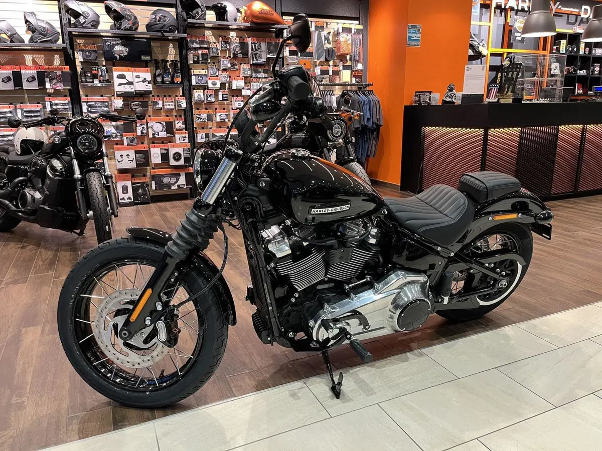 Harley-Davidson Street Bob 117 (2025 - 26) (5)
