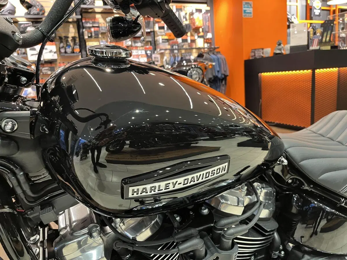 Harley-Davidson Street Bob 117 (2025 - 26) (8)