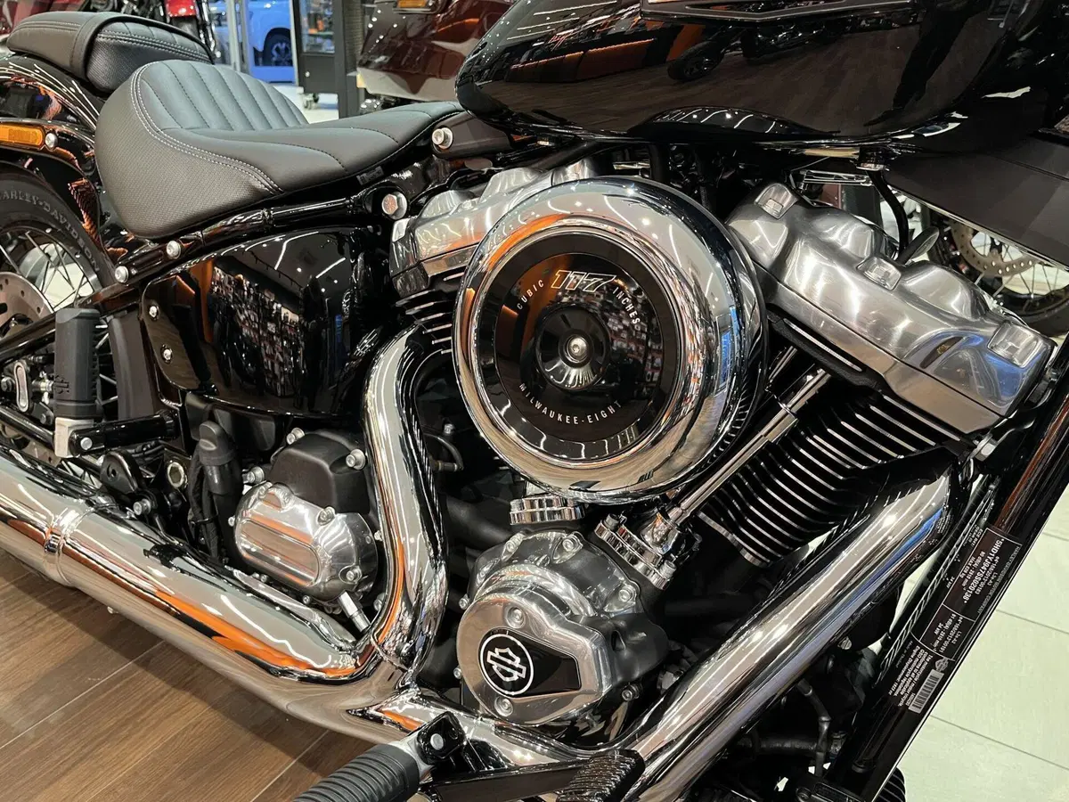Harley-Davidson Street Bob 117 (2025 - 26) (9)