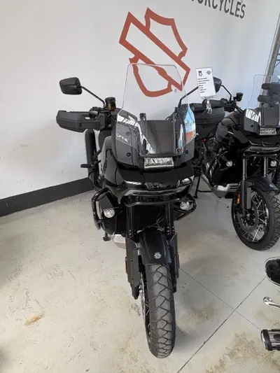 Harley-Davidson Pan America 1250 Special (2020 - 25) usata