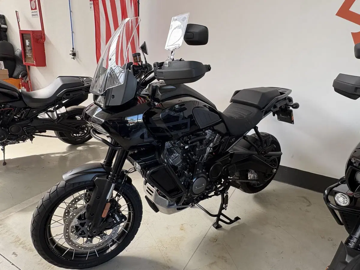 Harley-Davidson Pan America 1250 Special (2020 - 25) (3)