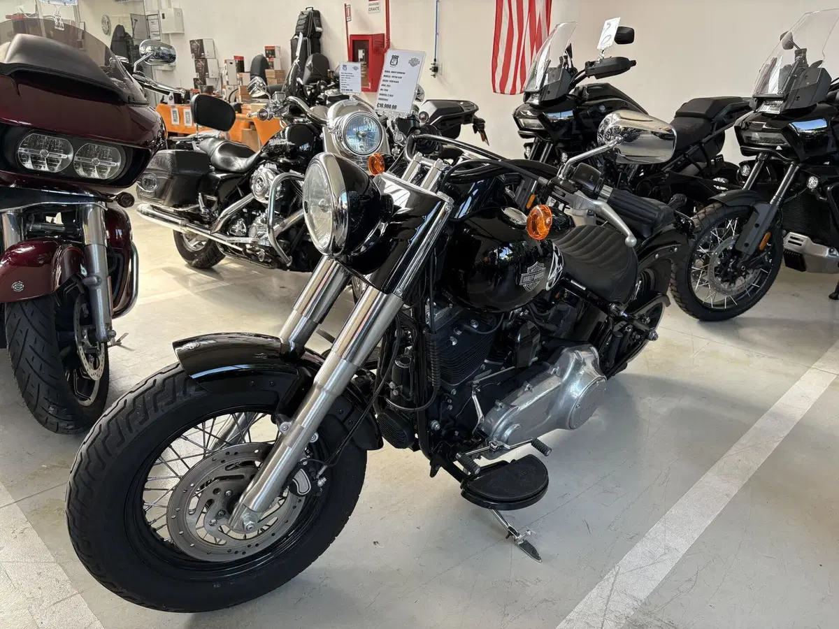 Harley-Davidson 1690 Slim (2011 - 16) - FLS (3)