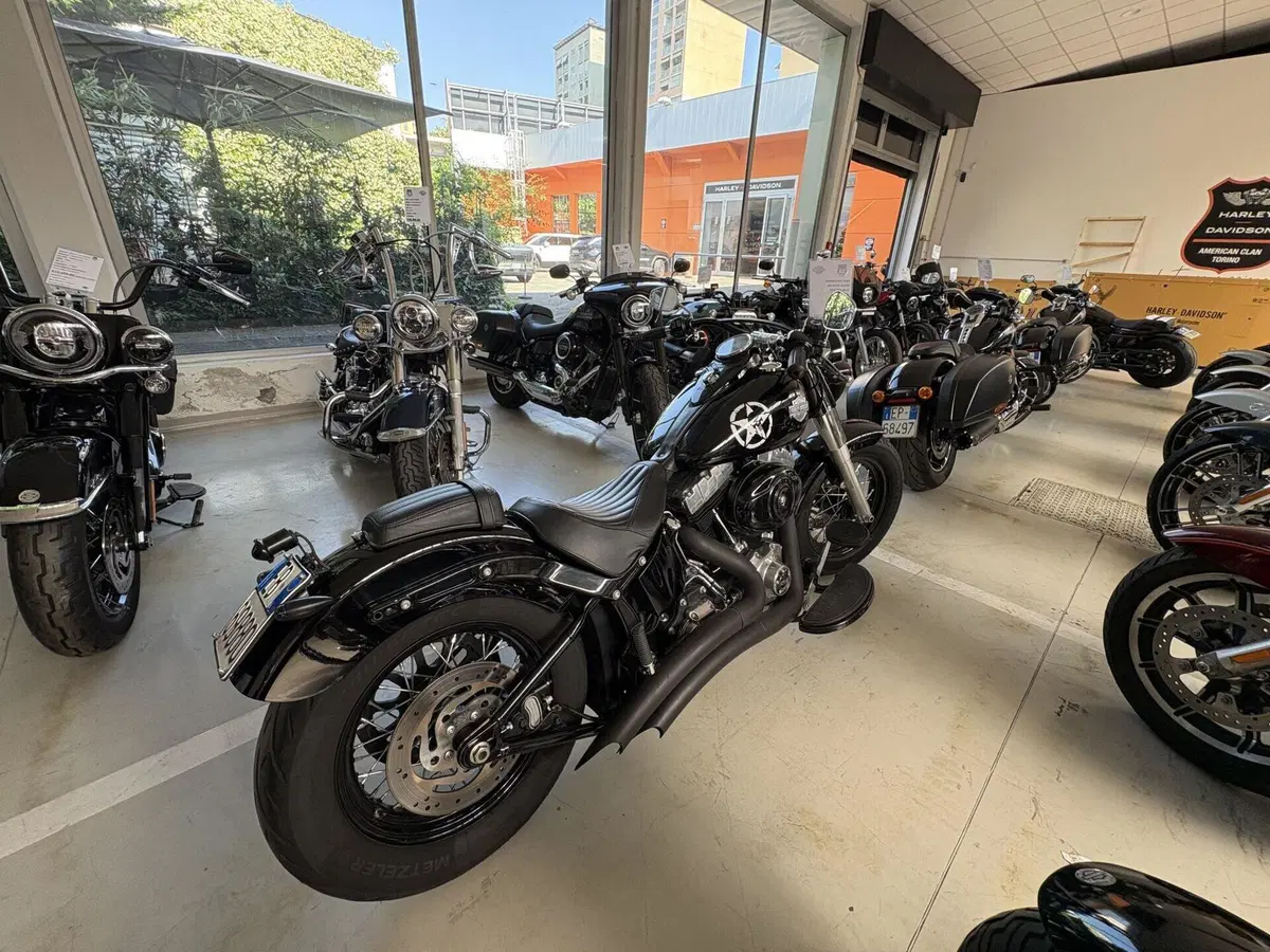 Harley-Davidson 1690 Slim (2011 - 16) - FLS (4)