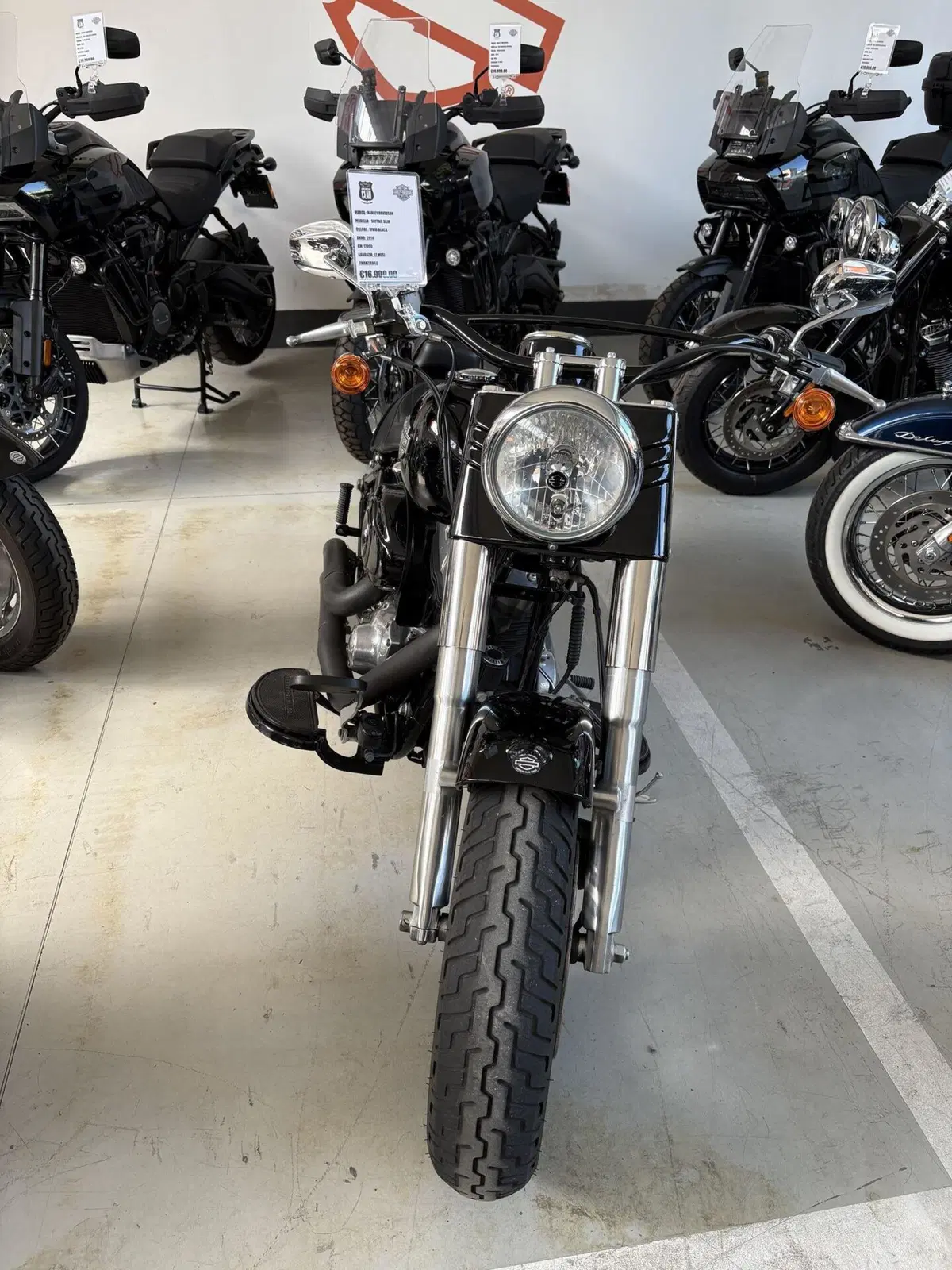 Harley-Davidson 1690 Slim (2011 - 16) - FLS (5)