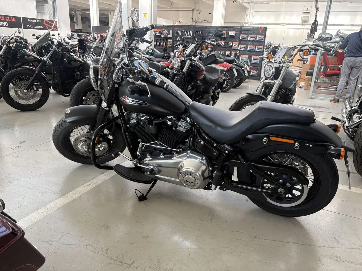Harley-Davidson 107 Slim (2018 - 20) - FLSL