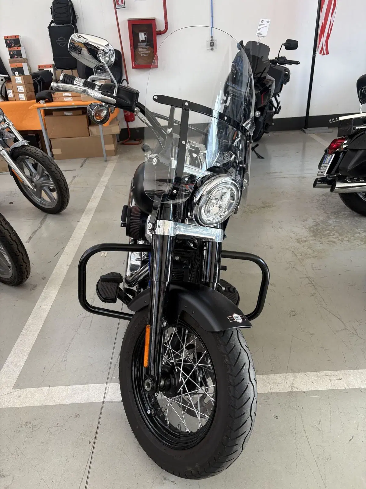 Harley-Davidson 107 Slim (2018 - 20) - FLSL (2)