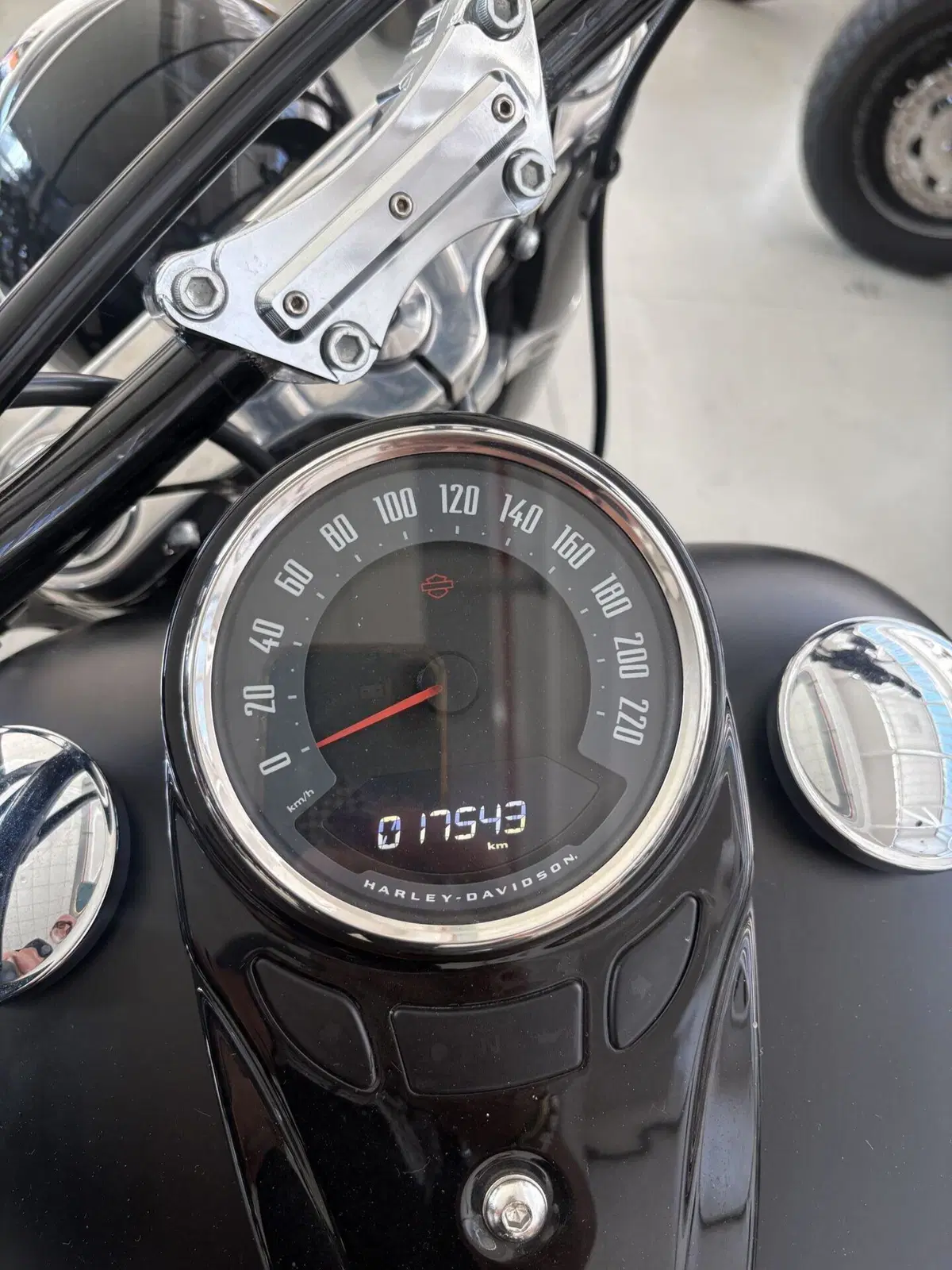 Harley-Davidson 107 Slim (2018 - 20) - FLSL (3)