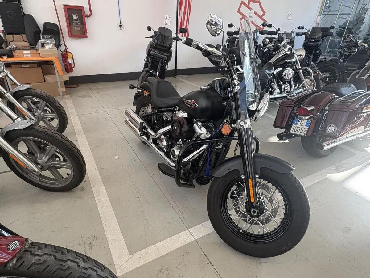 Harley-Davidson 107 Slim (2018 - 20) - FLSL (4)