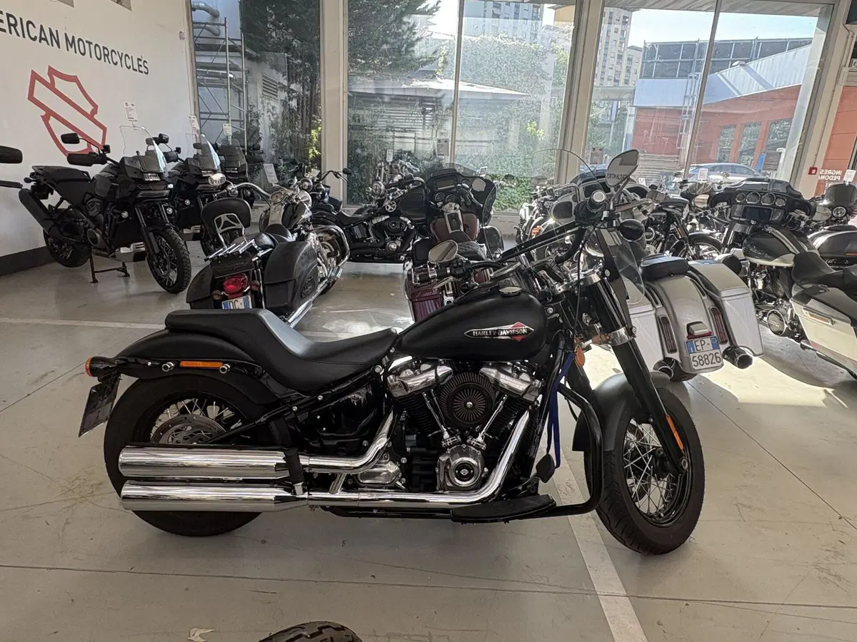 Harley-Davidson 107 Slim (2018 - 20) - FLSL (5)