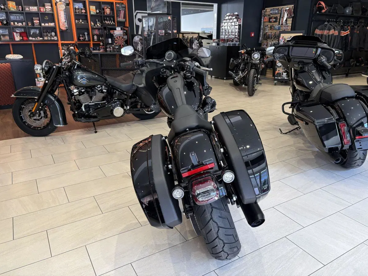 Harley-Davidson Low Rider ST (2025 - 26) (4)