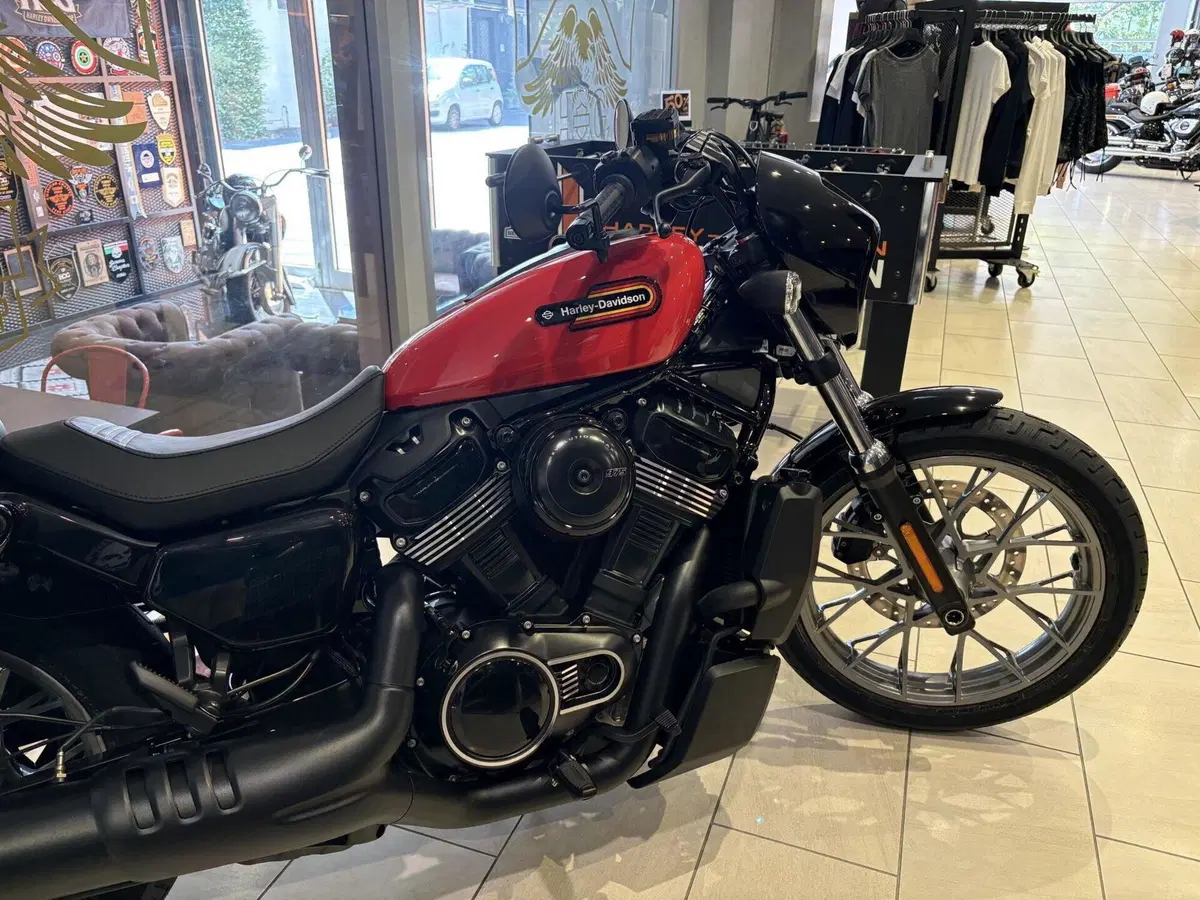 Harley-Davidson Nightster Special (2023 - 26) (2)
